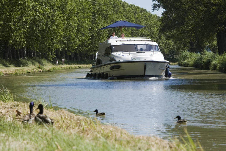 Croisière fluviale à la découverte de la faune