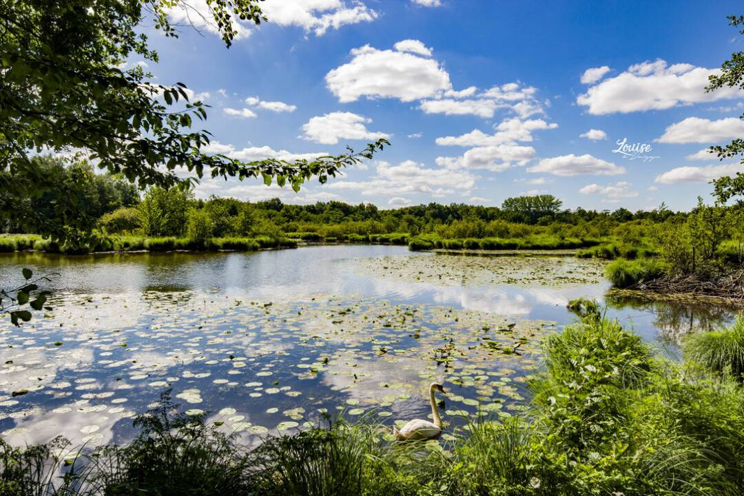 La Truch&egrave;re: Das Naturschutzgebiet am Zusammenfluss von Seille und Sa&ocirc;ne ist der ideale Ort, um die 153 Vogelarten zu beobachten. Erstaunlich ist auch eine Sandd&uuml;ne, die vor 5.000 Jahren vom Wind geformt wurde. LouisedeBougogne