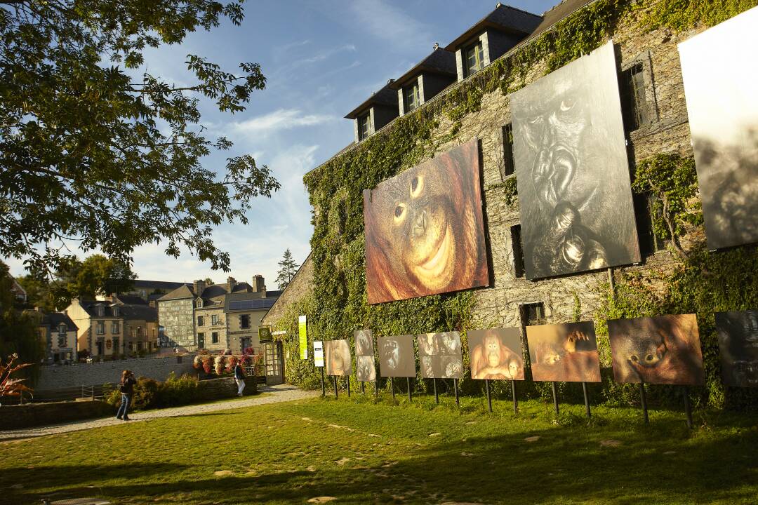 La Gacilly, f&uuml;r sein Kunsthandwerk und sein Fotofestival!&nbsp;

&copy;LAMOUREUXAlexandre