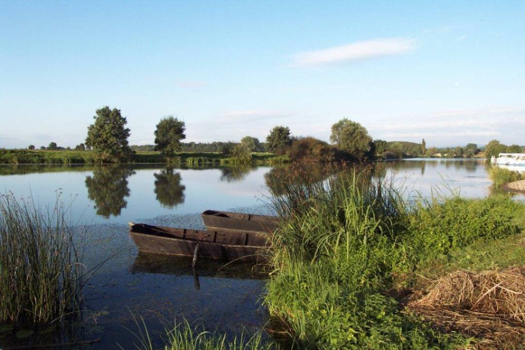 Seille, der sanfte Fluss: Die Seille ist auf 39 Kilometern von Louhans bis La Truch&egrave;re schiffbar. Dank der schwachen Str&ouml;mung und der sch&ouml;nen Landschaft ist die Fahrt ein sehr angenehmes und friedliches Erlebnis. Der Fluss ist auch f&uuml;r seine guten Angelbedingungen bekannt.