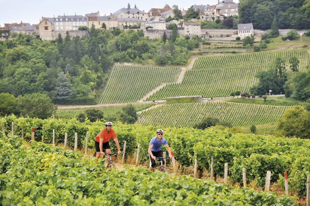 The wines of Sancerre: the Sancerre vineyards stretch over magnificent hills perfectly adapted to the vine, well oriented, exposed and protected, whose limestone and siliceous soils contribute to the wonderful quality of the wines. You will be able to taste the Sancerre White, the Sancerre Red and the Sancerre Ros&eacute;.