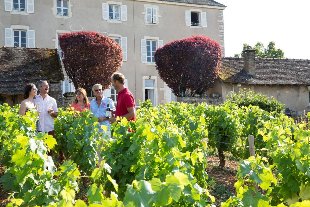 Wein aus der AOP Minervois
Der Minervois ist ein s&uuml;dfranz&ouml;sischer Wein mit kontrollierter Herkunftsbezeichnung, der auf dem Vorgebirge der Montagne Noire zwischen den Departements Aude und H&eacute;rault angebaut wird. Er produziert &uuml;berwiegend Rotweine.