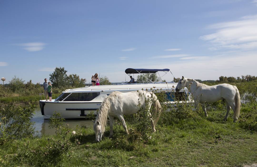 Der Etang du Ponant in La Grande-Motte am Mittelmeer ist ein 280 Hektar gro&szlig;er k&uuml;nstlich angelegter See. Auf dem Programm stehen die Beobachtung von K&uuml;sten- und Seev&ouml;geln, die Begegnung mit Camargue-Pferden und die Entspannung am Ufer des Sees.