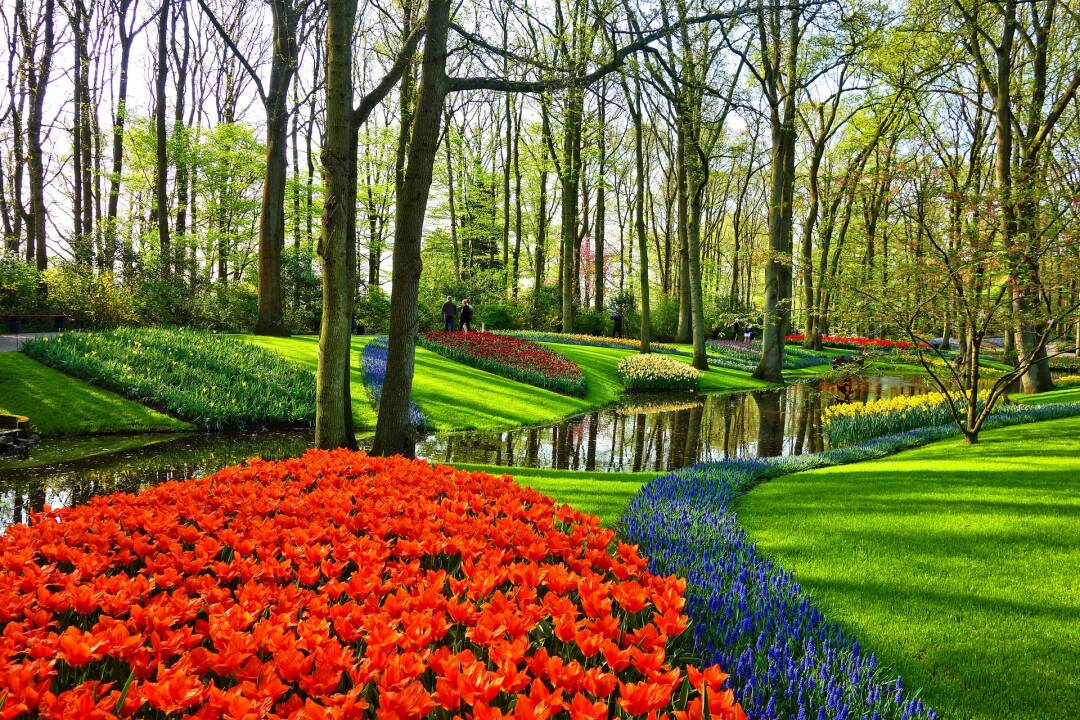 Keukenhof mit seinen 800 Tulpensorten, einem der gr&ouml;&szlig;ten Blumeng&auml;rten der Welt