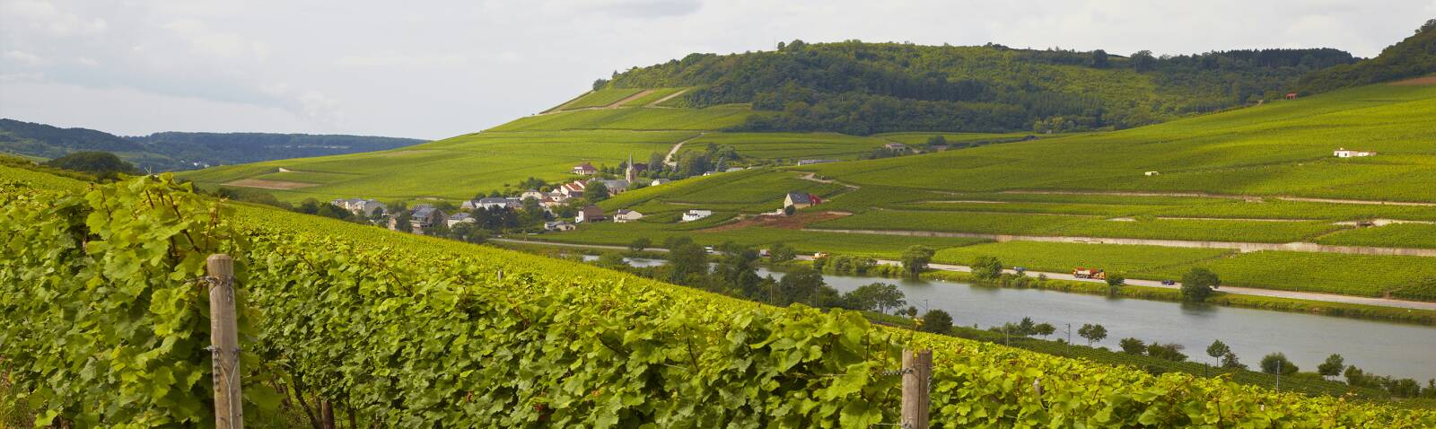 Alsace