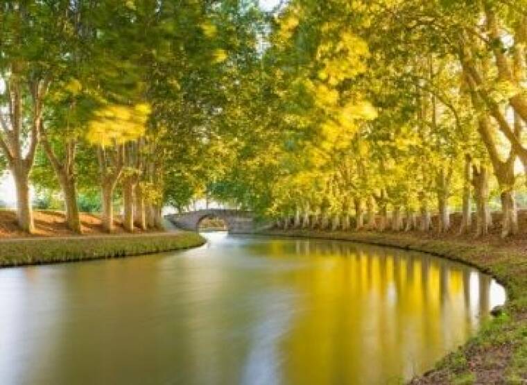 Canal du Midi /Camargue