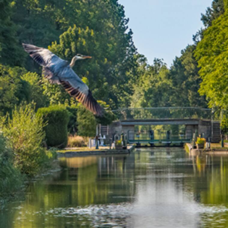 Burgund Nivernais